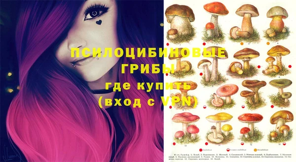 кокаин Дмитриев