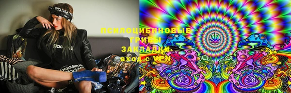 ГАЛЛЮЦИНОГЕННЫЕ ГРИБЫ Дмитров