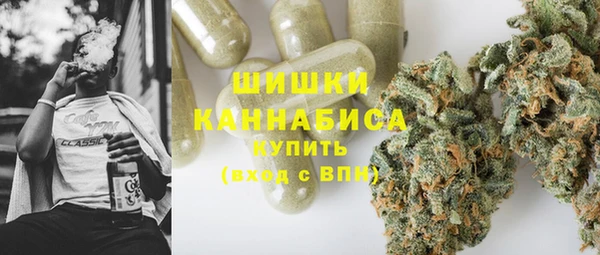 ГАЛЛЮЦИНОГЕННЫЕ ГРИБЫ Дмитров
