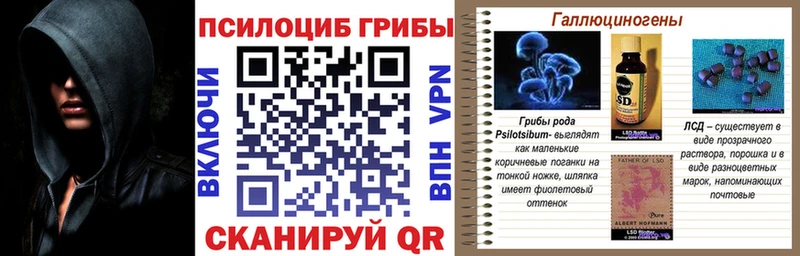 Купить закладки  Лахденпохья  Псилоцибиновые грибы мицелий 